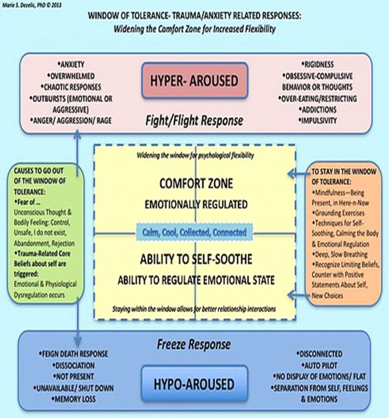 The Window of Tolerance Regulating - Tolerance Graph 1 768x826